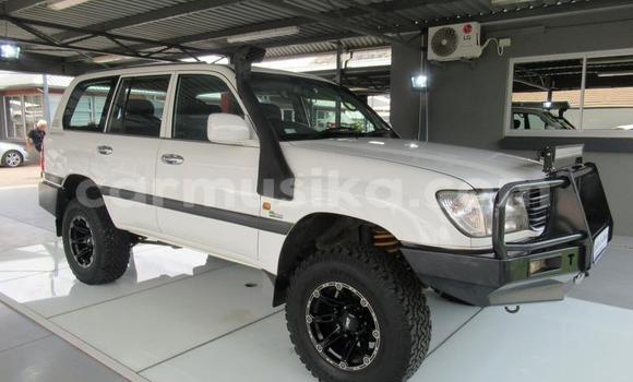 Buy Used Toyota Land Cruiser White Car in Beitbridge in Matabeleland South Buy Used Toyota Land Cruiser White Car in Beitbridge in Matabeleland South