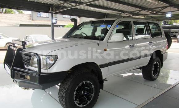 Buy Used Toyota Land Cruiser White Car in Beitbridge in Matabeleland South Buy Used Toyota Land Cruiser White Car in Beitbridge in Matabeleland South