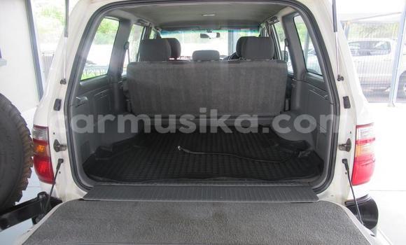 Buy Used Toyota Land Cruiser White Car in Beitbridge in Matabeleland South Buy Used Toyota Land Cruiser White Car in Beitbridge in Matabeleland South