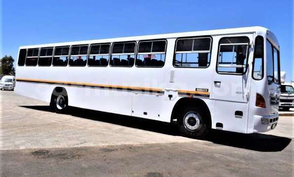 Buy Used Hino 300 Series White Truck in Beitbridge in Matabeleland South Buy Used Hino 300 Series White Truck in Beitbridge in Matabeleland South