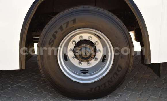 Buy Used Hino 300 Series White Truck in Beitbridge in Matabeleland South Buy Used Hino 300 Series White Truck in Beitbridge in Matabeleland South