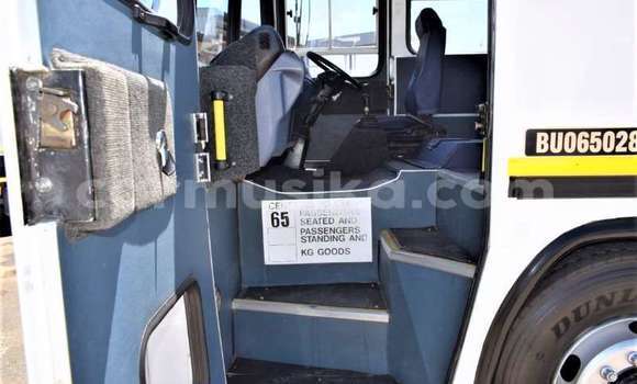 Buy Used Hino 300 Series White Truck in Beitbridge in Matabeleland South Buy Used Hino 300 Series White Truck in Beitbridge in Matabeleland South