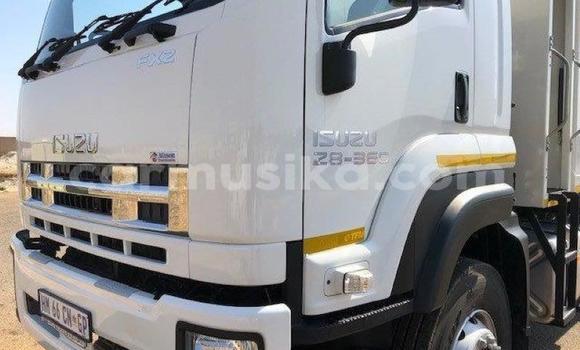 Buy Used Isuzu FTR 850 White Truck in Beitbridge in Matabeleland South Buy Used Isuzu FTR 850 White Truck in Beitbridge in Matabeleland South