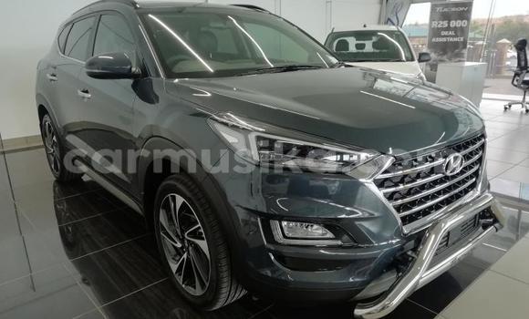 Buy Used Hyundai Tucson Silver Car in Beitbridge in Matabeleland South Buy Used Hyundai Tucson Silver Car in Beitbridge in Matabeleland South