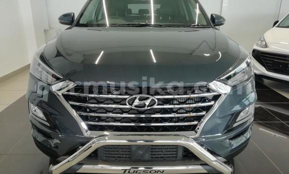 Buy Used Hyundai Tucson Silver Car in Beitbridge in Matabeleland South Buy Used Hyundai Tucson Silver Car in Beitbridge in Matabeleland South