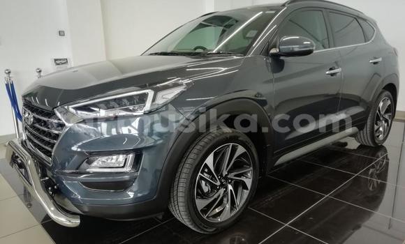 Buy Used Hyundai Tucson Silver Car in Beitbridge in Matabeleland South Buy Used Hyundai Tucson Silver Car in Beitbridge in Matabeleland South