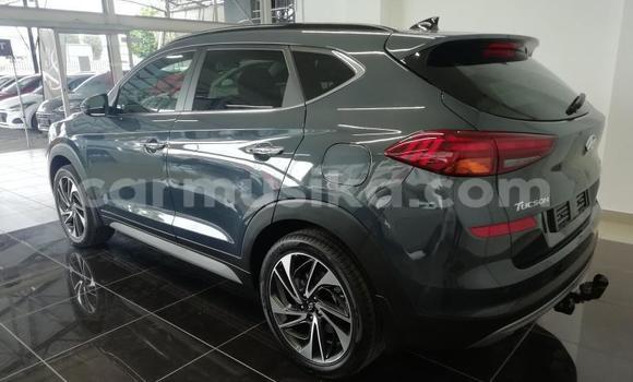 Buy Used Hyundai Tucson Silver Car in Beitbridge in Matabeleland South Buy Used Hyundai Tucson Silver Car in Beitbridge in Matabeleland South