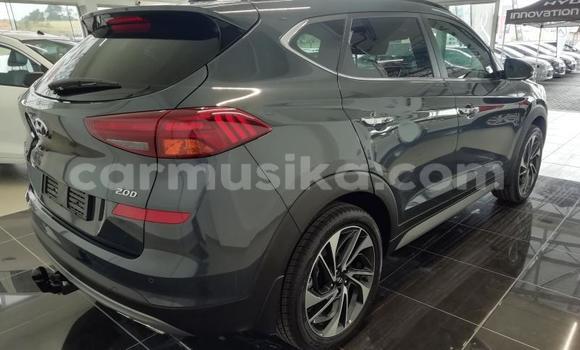 Buy Used Hyundai Tucson Silver Car in Beitbridge in Matabeleland South Buy Used Hyundai Tucson Silver Car in Beitbridge in Matabeleland South