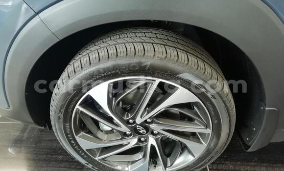 Buy Used Hyundai Tucson Silver Car in Beitbridge in Matabeleland South Buy Used Hyundai Tucson Silver Car in Beitbridge in Matabeleland South