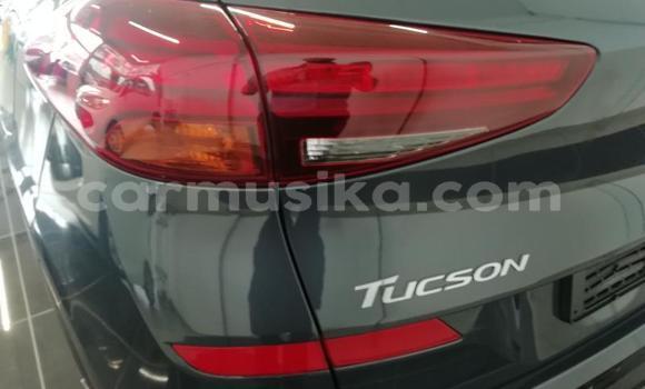 Buy Used Hyundai Tucson Silver Car in Beitbridge in Matabeleland South Buy Used Hyundai Tucson Silver Car in Beitbridge in Matabeleland South