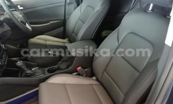 Buy Used Hyundai Tucson Silver Car in Beitbridge in Matabeleland South Buy Used Hyundai Tucson Silver Car in Beitbridge in Matabeleland South