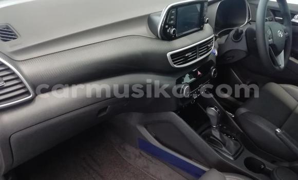 Buy Used Hyundai Tucson Silver Car in Beitbridge in Matabeleland South Buy Used Hyundai Tucson Silver Car in Beitbridge in Matabeleland South