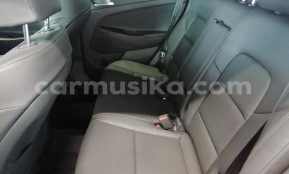 Buy Used Hyundai Tucson Silver Car in Beitbridge in Matabeleland South Buy Used Hyundai Tucson Silver Car in Beitbridge in Matabeleland South