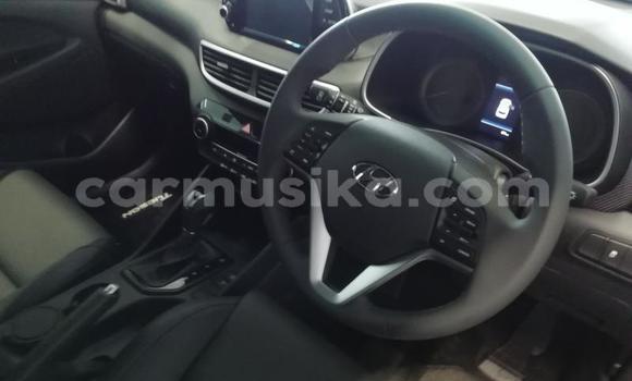 Buy Used Hyundai Tucson Silver Car in Beitbridge in Matabeleland South Buy Used Hyundai Tucson Silver Car in Beitbridge in Matabeleland South