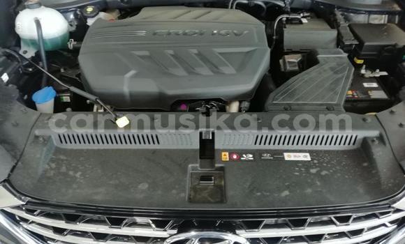 Buy Used Hyundai Tucson Silver Car in Beitbridge in Matabeleland South Buy Used Hyundai Tucson Silver Car in Beitbridge in Matabeleland South