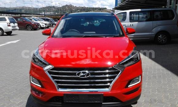 Tenga Tsaru Hyundai Tucson Tsvuku Mota in Beitbridge in Matabeleland South Tenga Tsaru Hyundai Tucson Tsvuku Mota in Beitbridge in Matabeleland South