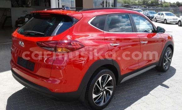 Tenga Tsaru Hyundai Tucson Tsvuku Mota in Beitbridge in Matabeleland South Tenga Tsaru Hyundai Tucson Tsvuku Mota in Beitbridge in Matabeleland South