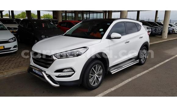 Buy Used Hyundai Tucson White Car in Beitbridge in Matabeleland South Buy Used Hyundai Tucson White Car in Beitbridge in Matabeleland South