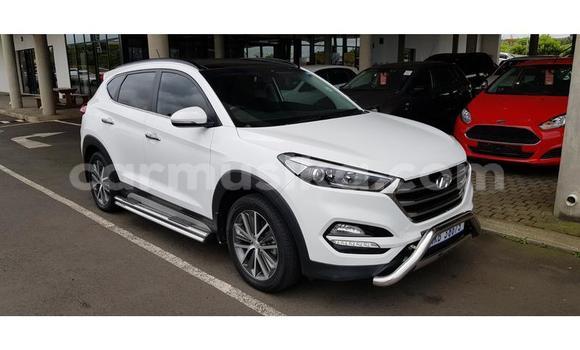Buy Used Hyundai Tucson White Car in Beitbridge in Matabeleland South Buy Used Hyundai Tucson White Car in Beitbridge in Matabeleland South