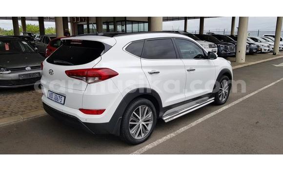Buy Used Hyundai Tucson White Car in Beitbridge in Matabeleland South Buy Used Hyundai Tucson White Car in Beitbridge in Matabeleland South