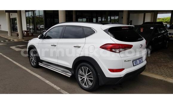 Buy Used Hyundai Tucson White Car in Beitbridge in Matabeleland South Buy Used Hyundai Tucson White Car in Beitbridge in Matabeleland South