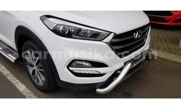 Buy Used Hyundai Tucson White Car in Beitbridge in Matabeleland South Buy Used Hyundai Tucson White Car in Beitbridge in Matabeleland South