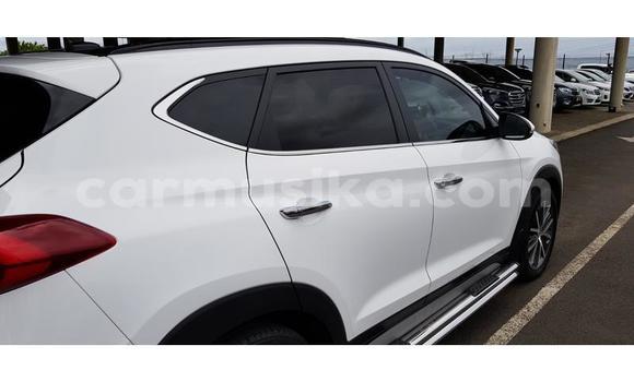 Buy Used Hyundai Tucson White Car in Beitbridge in Matabeleland South Buy Used Hyundai Tucson White Car in Beitbridge in Matabeleland South