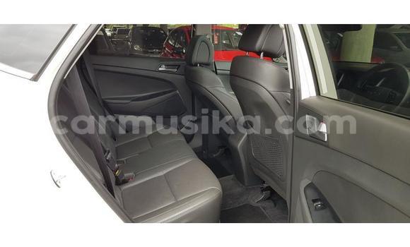 Buy Used Hyundai Tucson White Car in Beitbridge in Matabeleland South Buy Used Hyundai Tucson White Car in Beitbridge in Matabeleland South