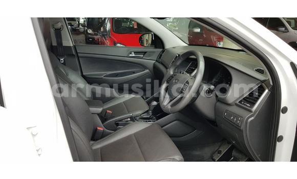 Buy Used Hyundai Tucson White Car in Beitbridge in Matabeleland South Buy Used Hyundai Tucson White Car in Beitbridge in Matabeleland South