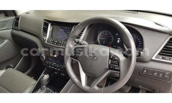 Buy Used Hyundai Tucson White Car in Beitbridge in Matabeleland South Buy Used Hyundai Tucson White Car in Beitbridge in Matabeleland South