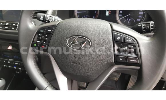 Buy Used Hyundai Tucson White Car in Beitbridge in Matabeleland South Buy Used Hyundai Tucson White Car in Beitbridge in Matabeleland South