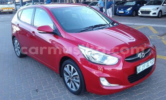Buy Used Hyundai Accent Red Car in Beitbridge in Matabeleland South Buy Used Hyundai Accent Red Car in Beitbridge in Matabeleland South