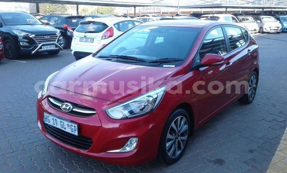 Buy Used Hyundai Accent Red Car in Beitbridge in Matabeleland South Buy Used Hyundai Accent Red Car in Beitbridge in Matabeleland South