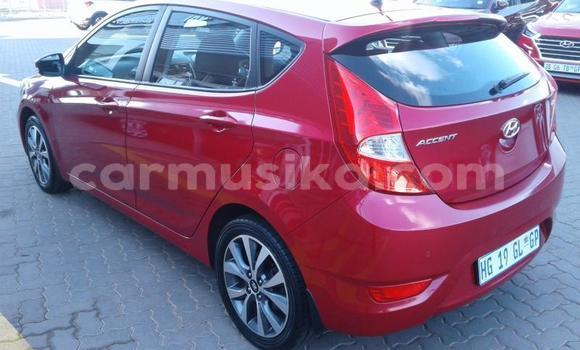 Buy Used Hyundai Accent Red Car in Beitbridge in Matabeleland South Buy Used Hyundai Accent Red Car in Beitbridge in Matabeleland South