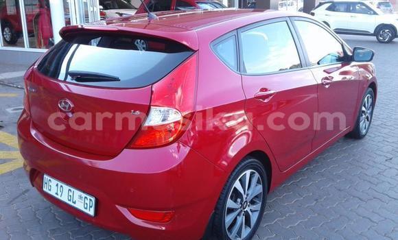 Buy Used Hyundai Accent Red Car in Beitbridge in Matabeleland South Buy Used Hyundai Accent Red Car in Beitbridge in Matabeleland South
