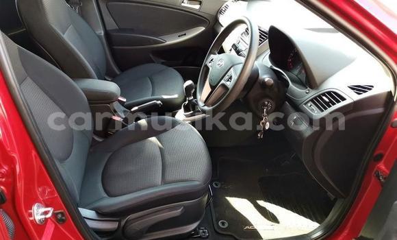 Tenga Tsaru Hyundai Accent Tsvuku Mota in Beitbridge in Matabeleland South Tenga Tsaru Hyundai Accent Tsvuku Mota in Beitbridge in Matabeleland South