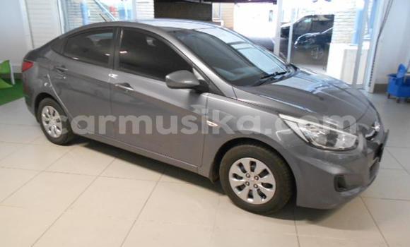 Buy Used Hyundai Accent Other Car in Beitbridge in Matabeleland South Buy Used Hyundai Accent Other Car in Beitbridge in Matabeleland South