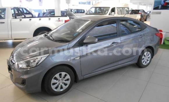Buy Used Hyundai Accent Other Car in Beitbridge in Matabeleland South Buy Used Hyundai Accent Other Car in Beitbridge in Matabeleland South