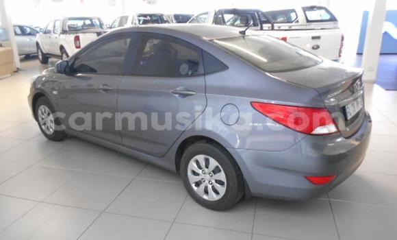 Buy Used Hyundai Accent Other Car in Beitbridge in Matabeleland South Buy Used Hyundai Accent Other Car in Beitbridge in Matabeleland South