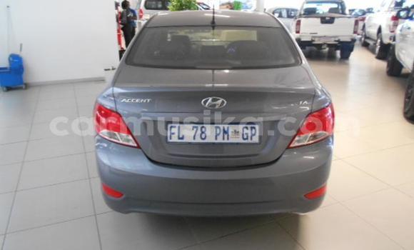 Buy Used Hyundai Accent Other Car in Beitbridge in Matabeleland South Buy Used Hyundai Accent Other Car in Beitbridge in Matabeleland South