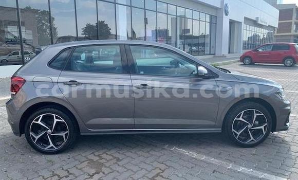 Acheter Occasion Voiture Volkswagen Polo Beige à Beitbridge, Matabeleland South Acheter Occasion Voiture Volkswagen Polo Beige à Beitbridge, Matabeleland South