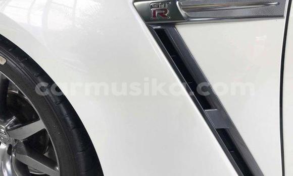 Tenga Tsaru Nissan GT-R Chena Mota in Beitbridge in Matabeleland South Tenga Tsaru Nissan GT-R Chena Mota in Beitbridge in Matabeleland South