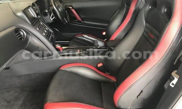 Tenga Tsaru Nissan GT-R Chena Mota in Beitbridge in Matabeleland South Tenga Tsaru Nissan GT-R Chena Mota in Beitbridge in Matabeleland South