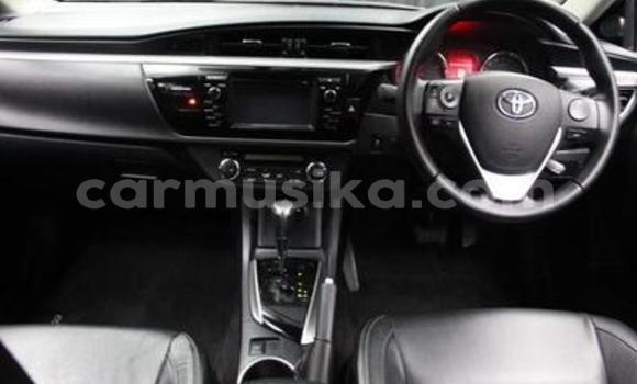 Nunua Ilio tumika Toyota Corolla Nyingine Gari ndani ya Belvedere nchini Harare Nunua Ilio tumika Toyota Corolla Nyingine Gari ndani ya Belvedere nchini Harare