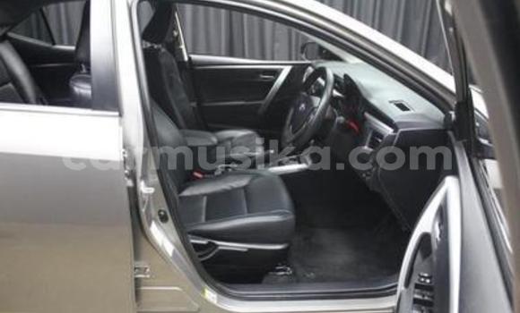 Nunua Ilio tumika Toyota Corolla Nyingine Gari ndani ya Belvedere nchini Harare Nunua Ilio tumika Toyota Corolla Nyingine Gari ndani ya Belvedere nchini Harare