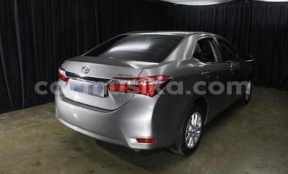 Nunua Ilio tumika Toyota Corolla Nyingine Gari ndani ya Belvedere nchini Harare Nunua Ilio tumika Toyota Corolla Nyingine Gari ndani ya Belvedere nchini Harare