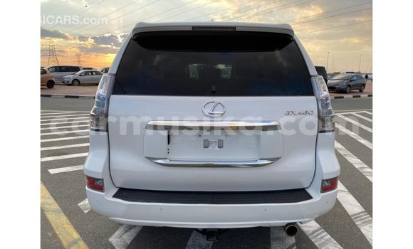 Tenga Imported Lexus GX Chena Mota in Import - Dubai in Harare Tenga Imported Lexus GX Chena Mota in Import - Dubai in Harare