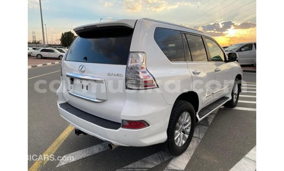 Tenga Imported Lexus GX Chena Mota in Import - Dubai in Harare Tenga Imported Lexus GX Chena Mota in Import - Dubai in Harare