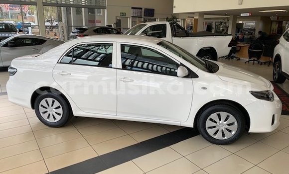 Tenga Tsaru Toyota Corolla Chena Mota in Beitbridge in Matabeleland South Tenga Tsaru Toyota Corolla Chena Mota in Beitbridge in Matabeleland South