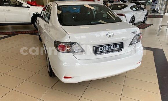 Tenga Tsaru Toyota Corolla Chena Mota in Beitbridge in Matabeleland South Tenga Tsaru Toyota Corolla Chena Mota in Beitbridge in Matabeleland South